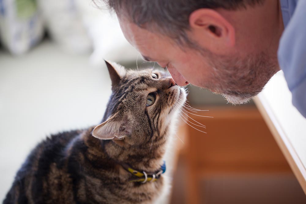 Man And His Cat Touching Noses