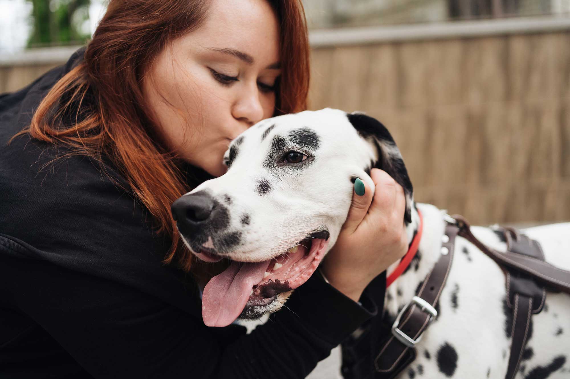 Woman Kissing Her Dalmation 