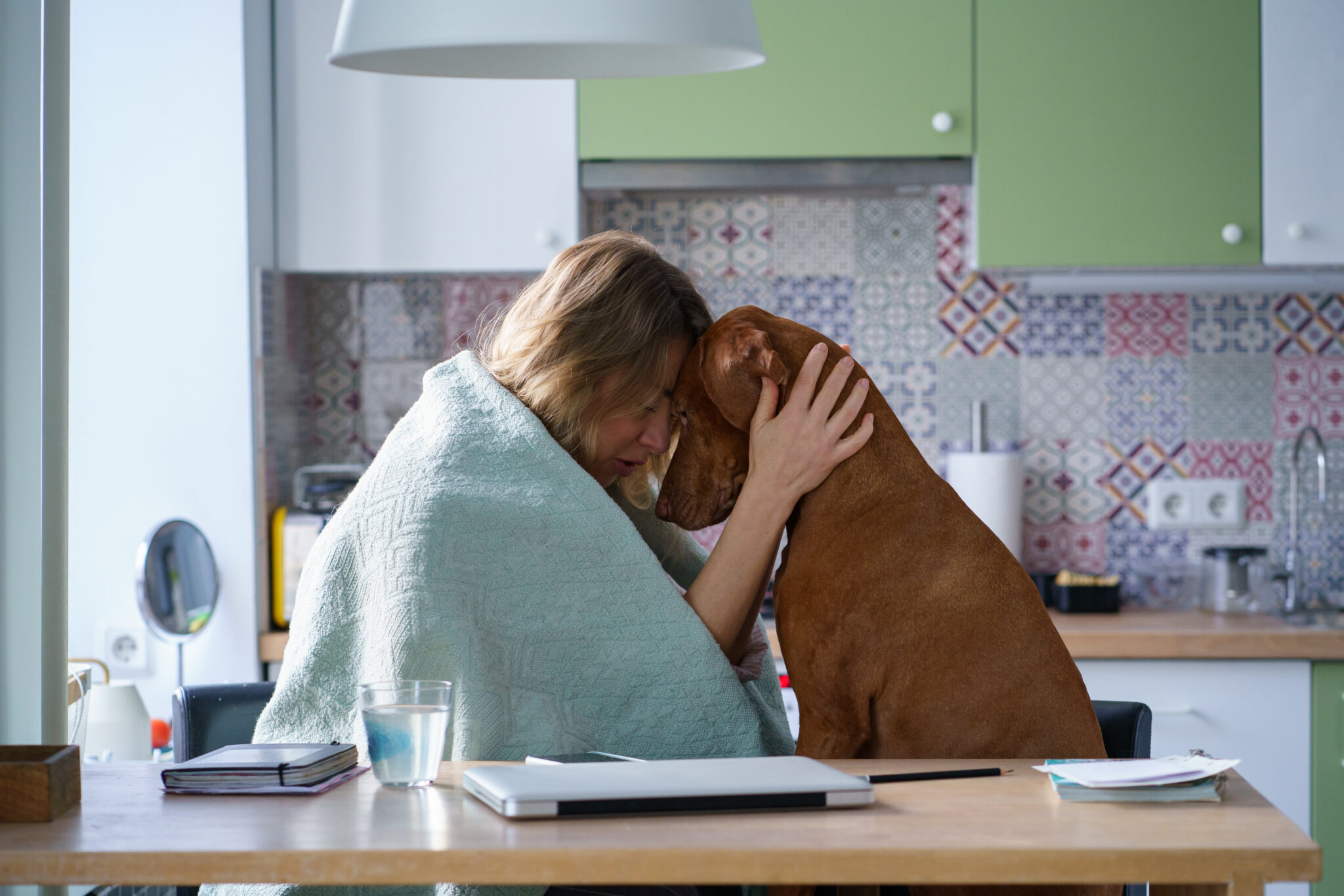 Support From Pet Friend: Crying Woman Hug Comforting Dog Sit In Kitchen Tired Of Search Of New Job